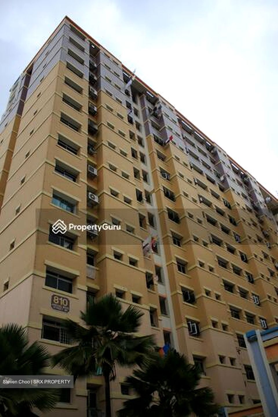 Blk 810 Jurong West Street 81 (Jurong West), HDB 5 Rooms #552528111